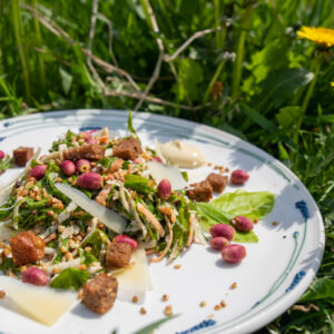 Wildpflanzen-Wanderung mit Picknick