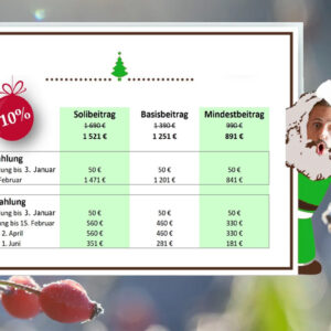 Weihnachtsangebot - Jahreskurs: Die Kunst des Wildsammelns