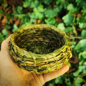 Aus Wildpflanzen einen Korb flechten